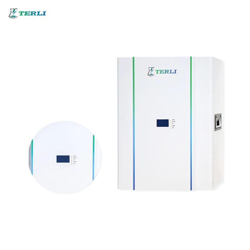 Terli Powerwall 48V 5Kwh 10Kwh Batterie Fotovoltaico Agli Ioni Di Litio Lifepo4 Energy Storage Lithium Ion Batteries
