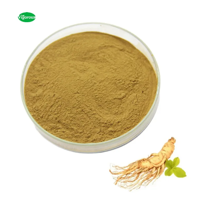 Free Sample Pure Natural Organic Ginseng Extract