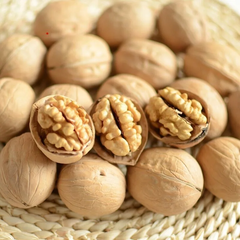 Top Quality Wallnut Wholesale Paper Raw 33 185 Walnut Bulk Price Big Walnuts In Shell