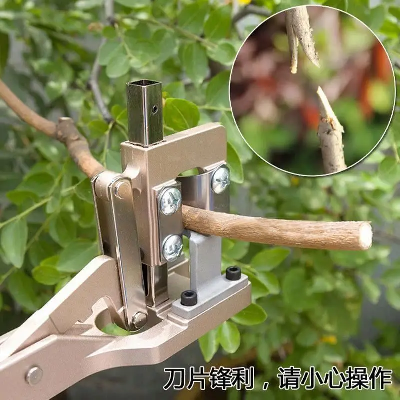 grafting pruning tool gardening tools grafting cutting scissors