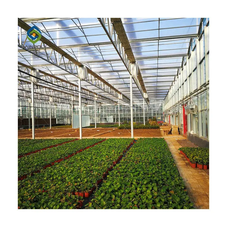 Заводская поставка, хорошее качество, Экологически чистая Водонепроницаемая садовая теплица для сада