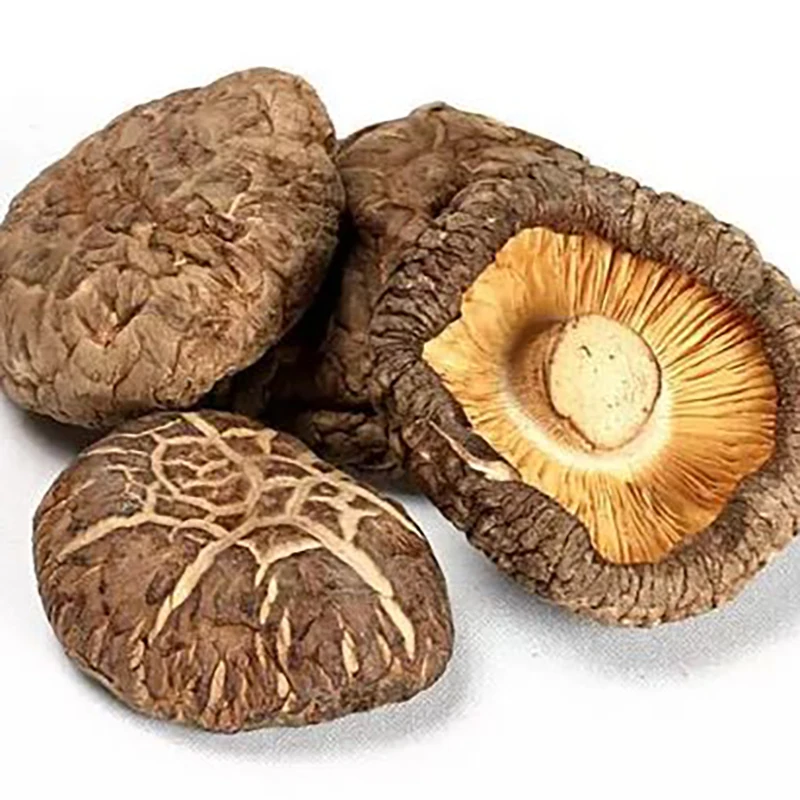 
wholesale top level lentinus edodes dried shiitake flower mushroom price 