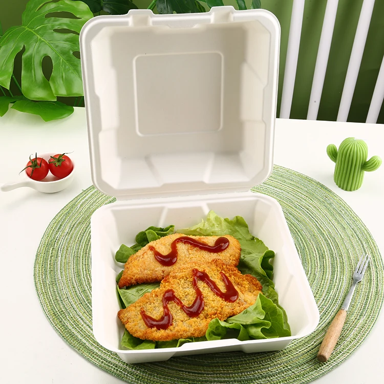 Biodegradable Food Container Ecofriendly to Go Boxes Paper Eco Friendly Containers Pulp Tray Take Out Restaurant Sugarcane Box