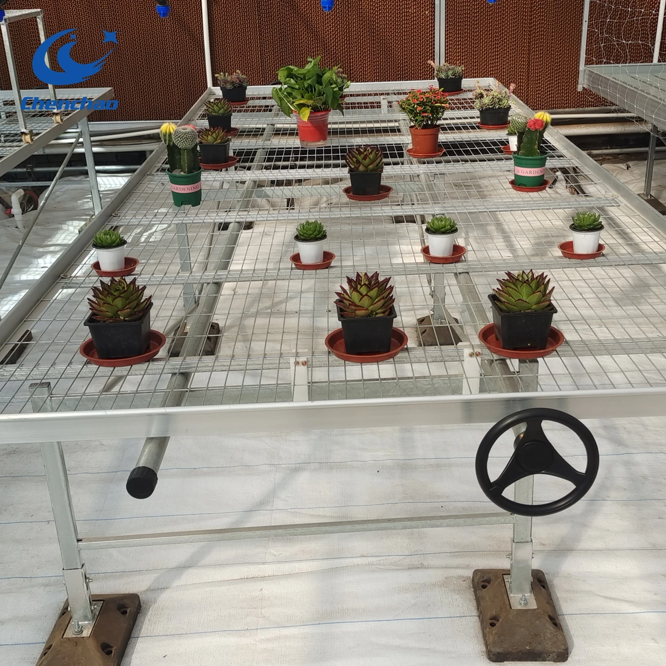 aquaponics greenhouses plastic flood tray rolling benches equipment