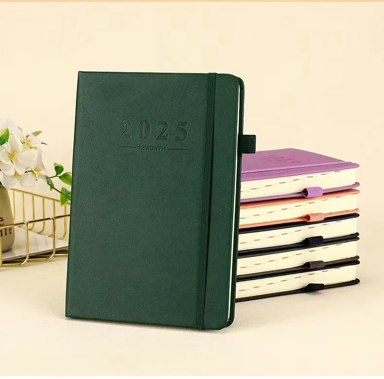 2025 Diary Planner 365 Days Daily Planner Journal A5 Large Project Agenda Organizer Work Notebook for Office Business Notes