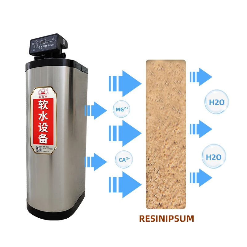 300LPH-500LPH  pre-filtration resin hard water descaler  for Whole House