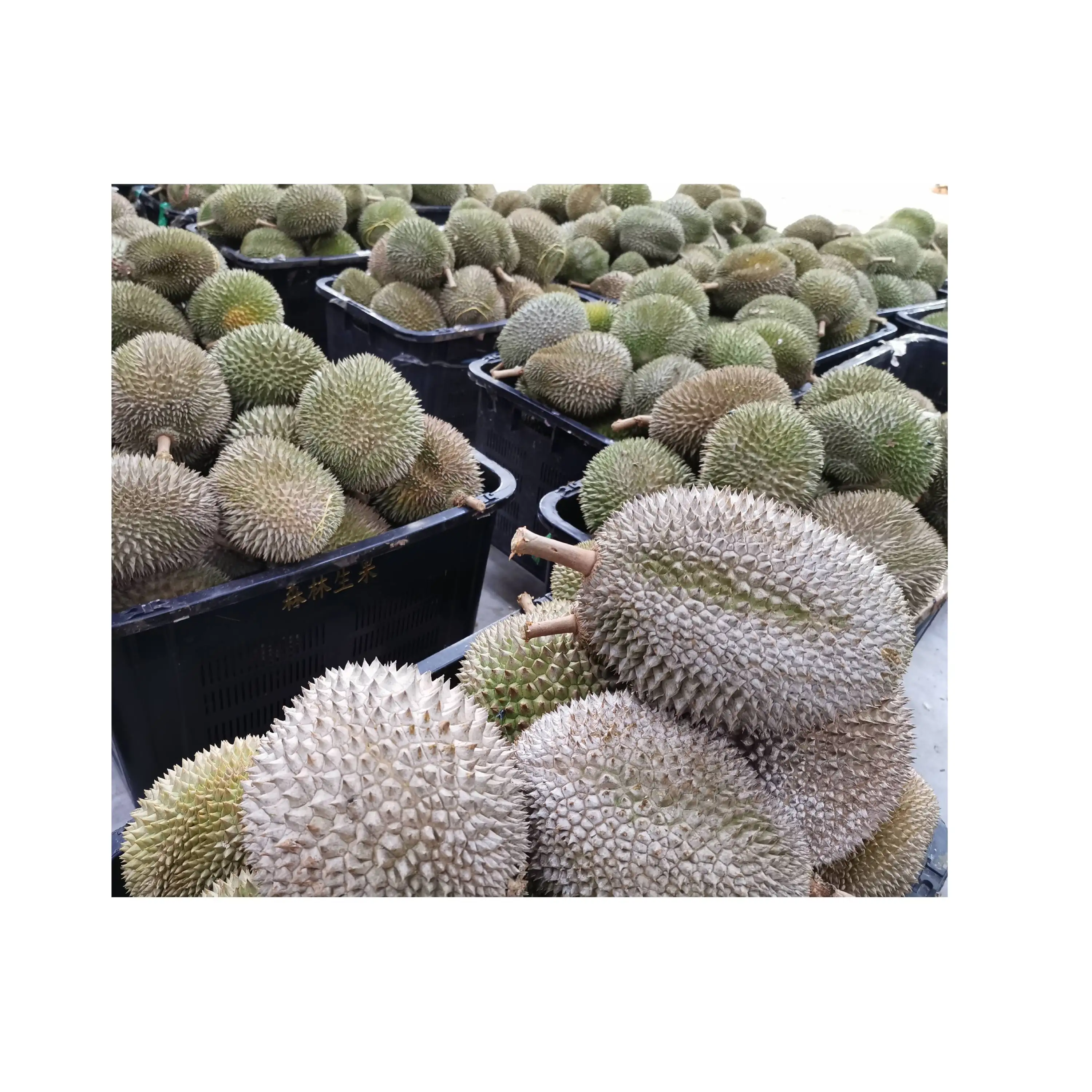 Cheapest Price Malaysia Supplier Vacuum Packaging Whole Frozen Fruit 2.2kg Weight Nitrogen Musang King Long Shelf Life