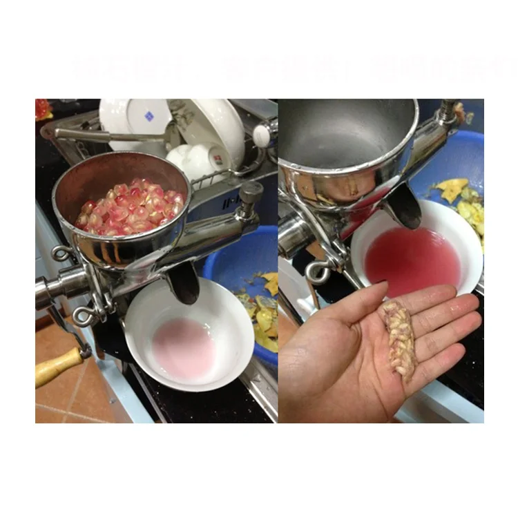 Best Sale Wheatgrass Juicer Machine/Juicer Extractor Manual