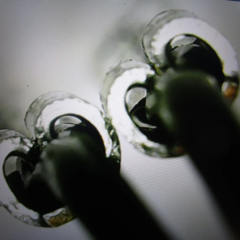 inspection services for temperature sensor  | pre-shipment inspection service | quality control sensor resistance check