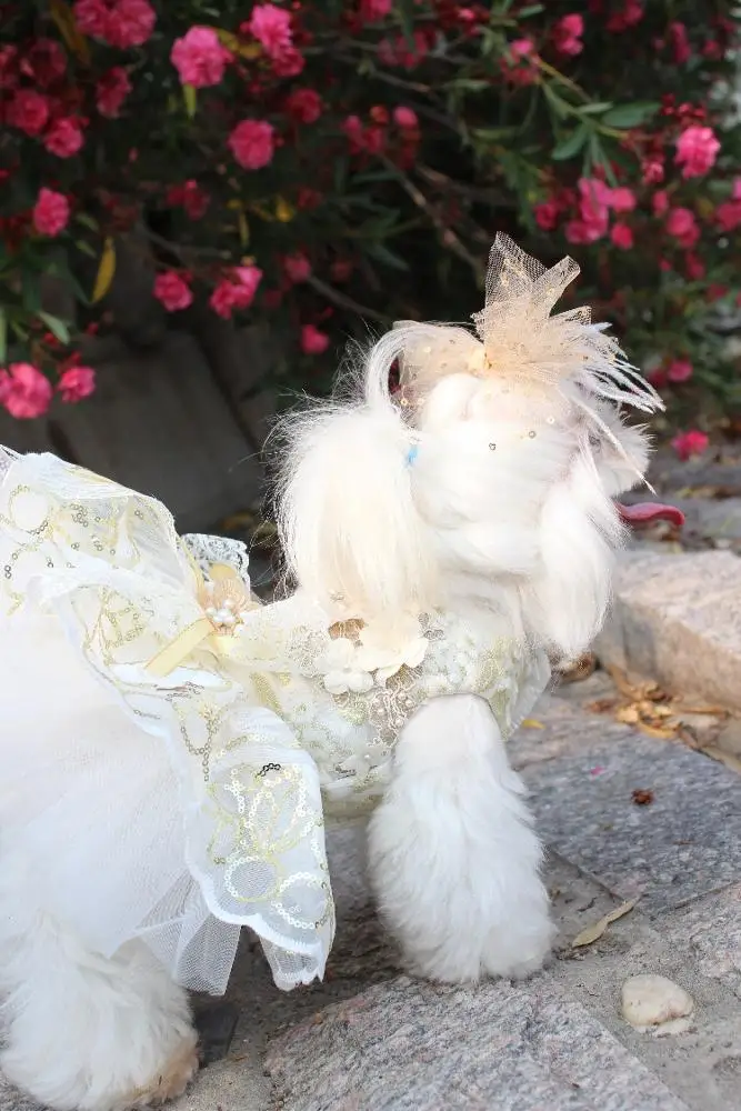 Delicacy luxury Pet Dog Cat Skirt Sequined embroidered lace Dress Clothes evening dress wedding