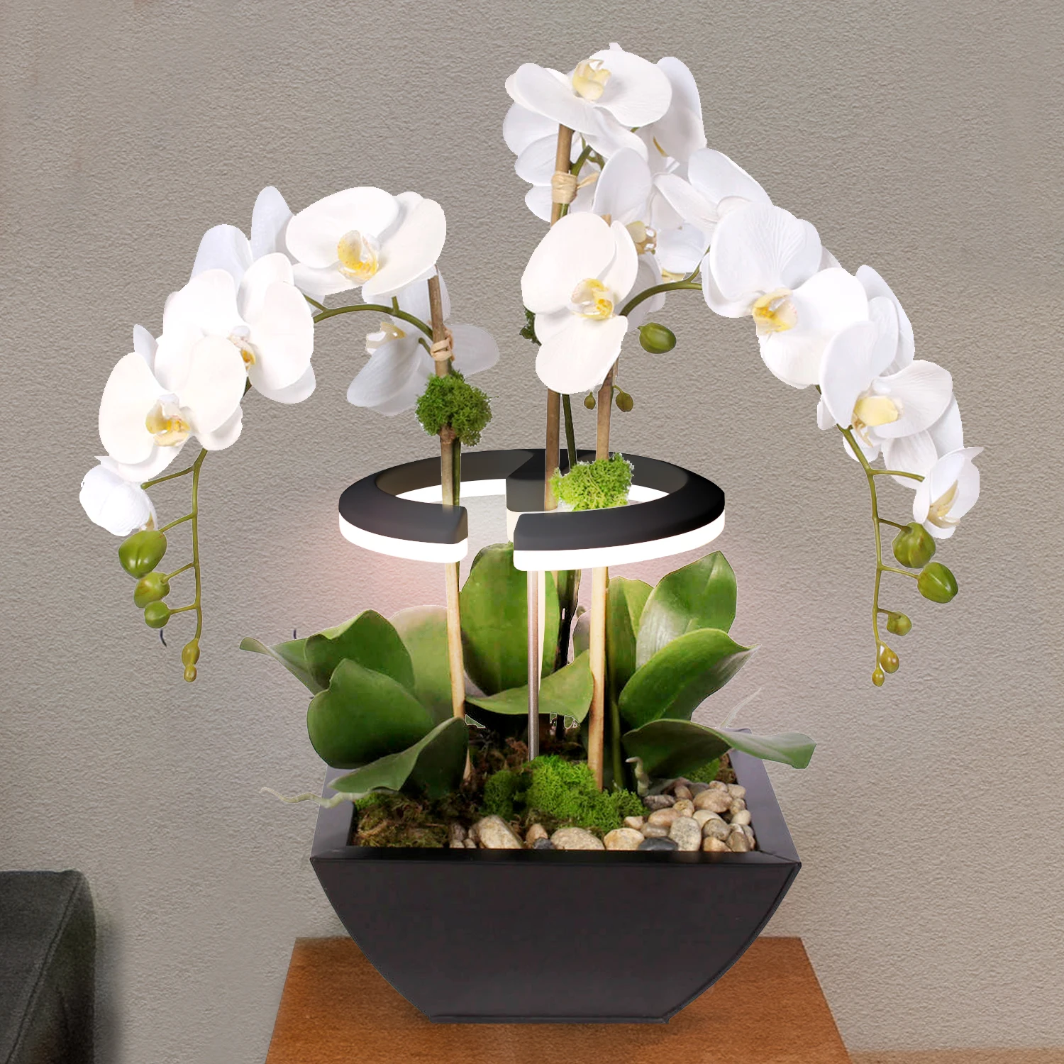 J&C Planter Mate smart flower pot orchid functional dimmable tabletop led grow light height adjustable