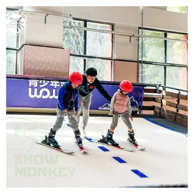 SNOW MONKEY Professional indoor endless skiing training dry ski machine
