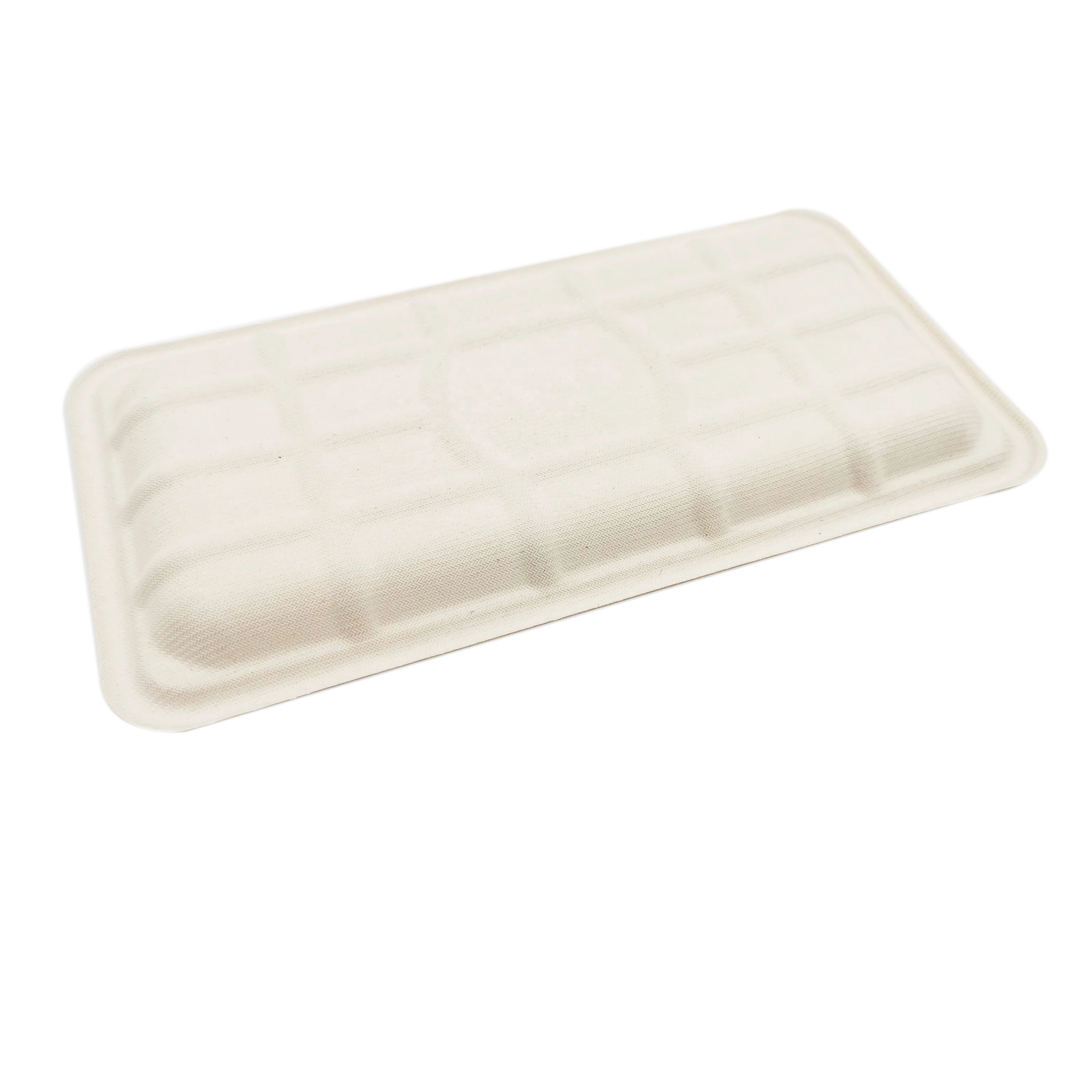 Disposable Compostable Trays Sugarcane Bagasse Paper Pulp Moulding  Trays