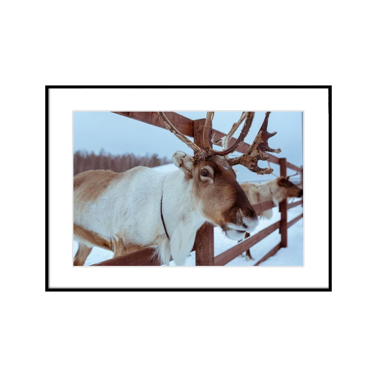 Черная художественная рамка разных размеров с животными на заказ оптовая продажа металлическая алюминиевая фоторамка для вешалки Украшение стен