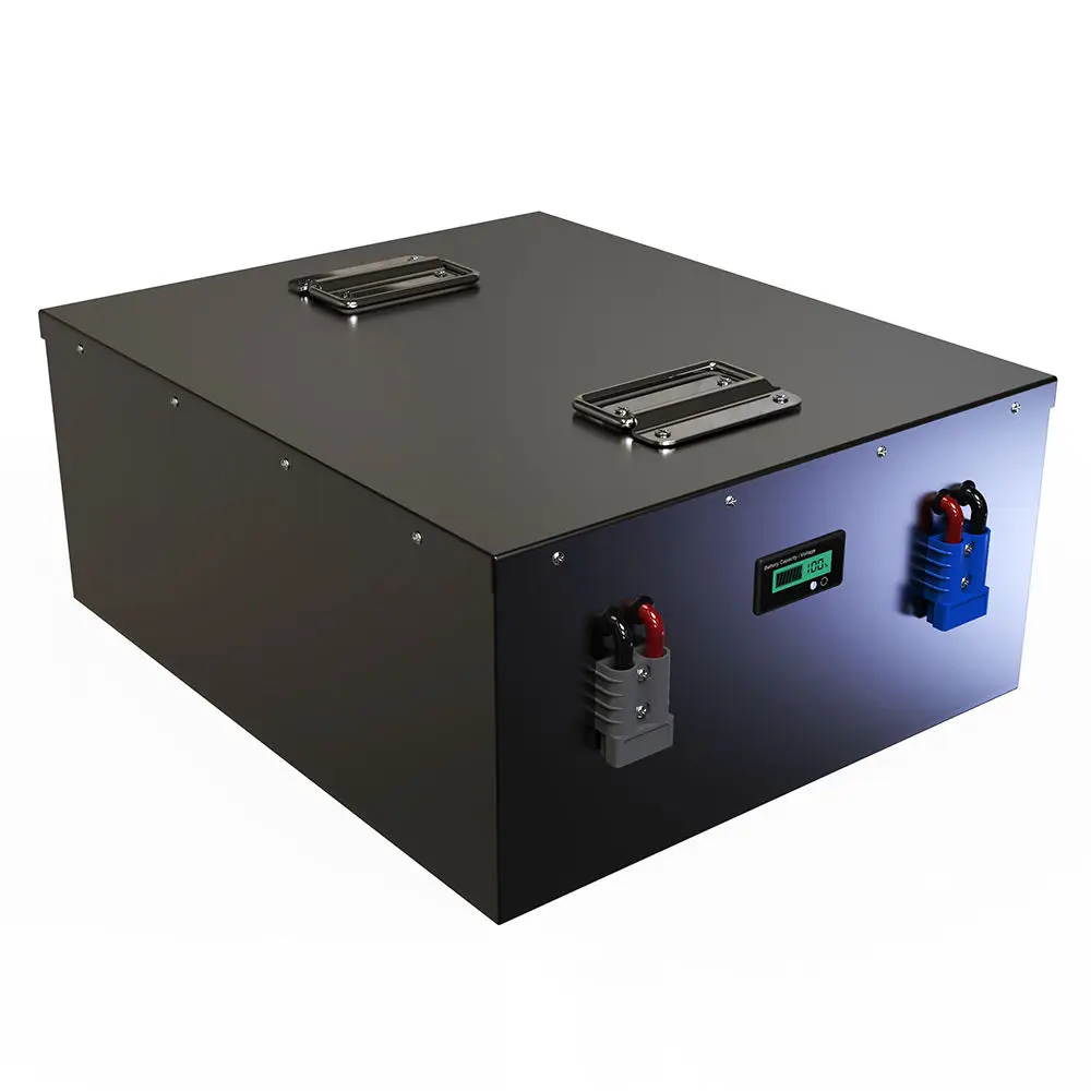 48v 50ah 100ah 200ah 300ah lifepo4 48v 51.2v lithium ion battery 110v for home energy storage with BMS