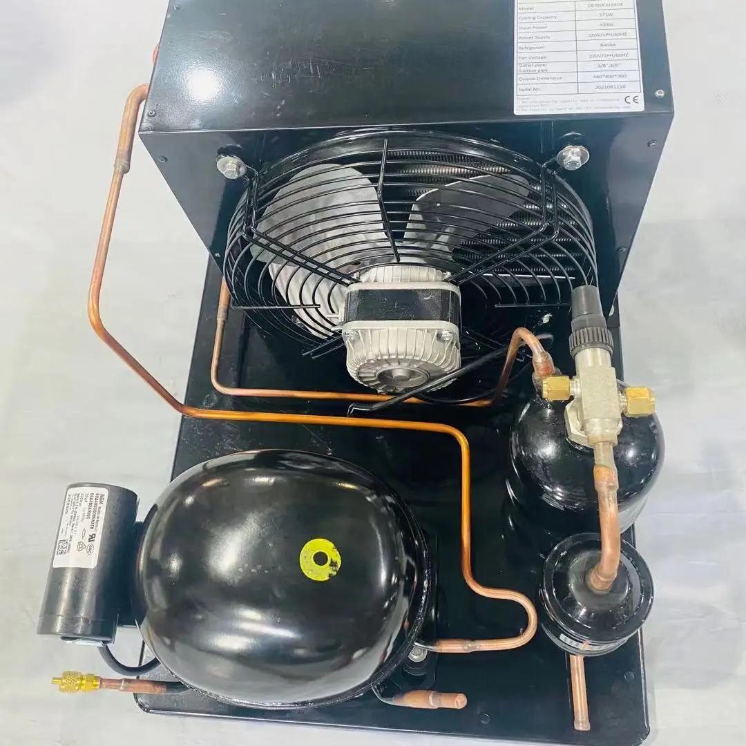 12V/24V DC Freezer condensing unit with various brand compressor