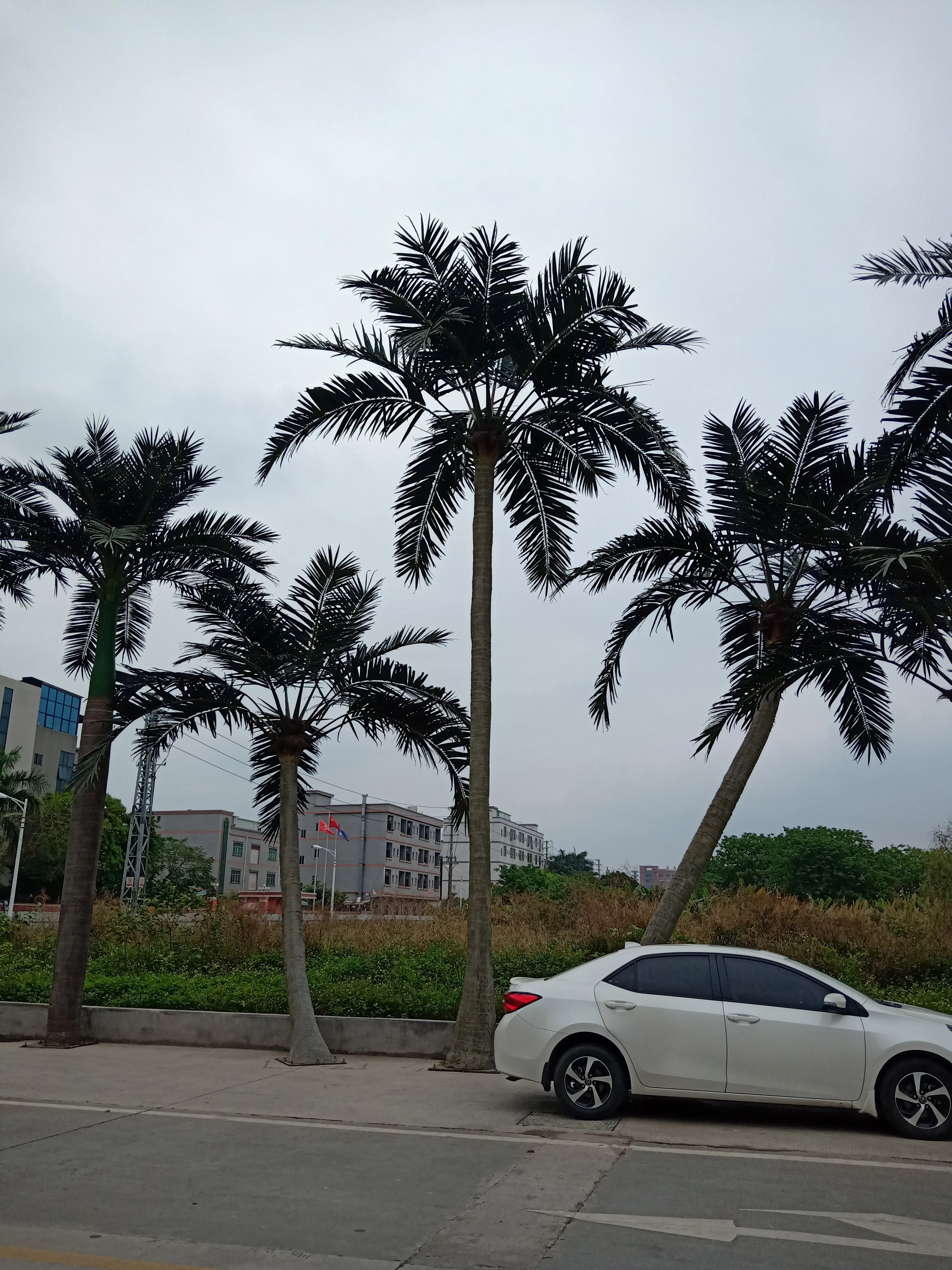 Guangdong Manufacturer Wholesale Cheap Price Tropical 2m 3m 4m 5m 6m 7m 8m 9m 10m 20m Fake Coconut Tree Artificial Palm Trees