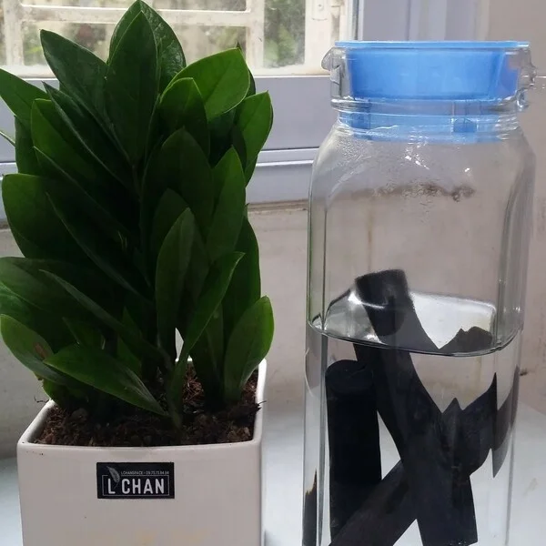 Water filter by charcoal made in Vietnam eco friendly, add mineral, balance pH with factory price