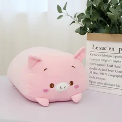New plush animal pillow pig plush teddy bear doll bear cushion cat cushion cat plush toy wholesale