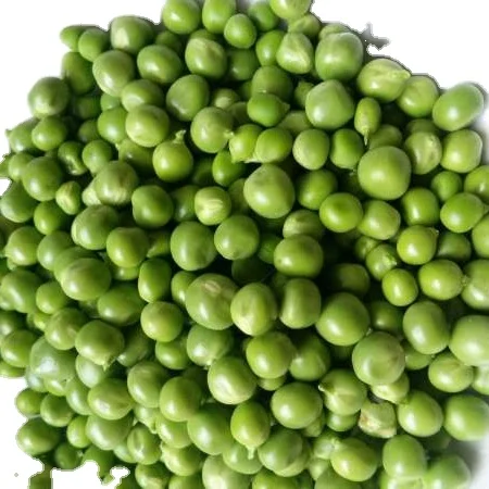 
New corp canned green peas in factory price 