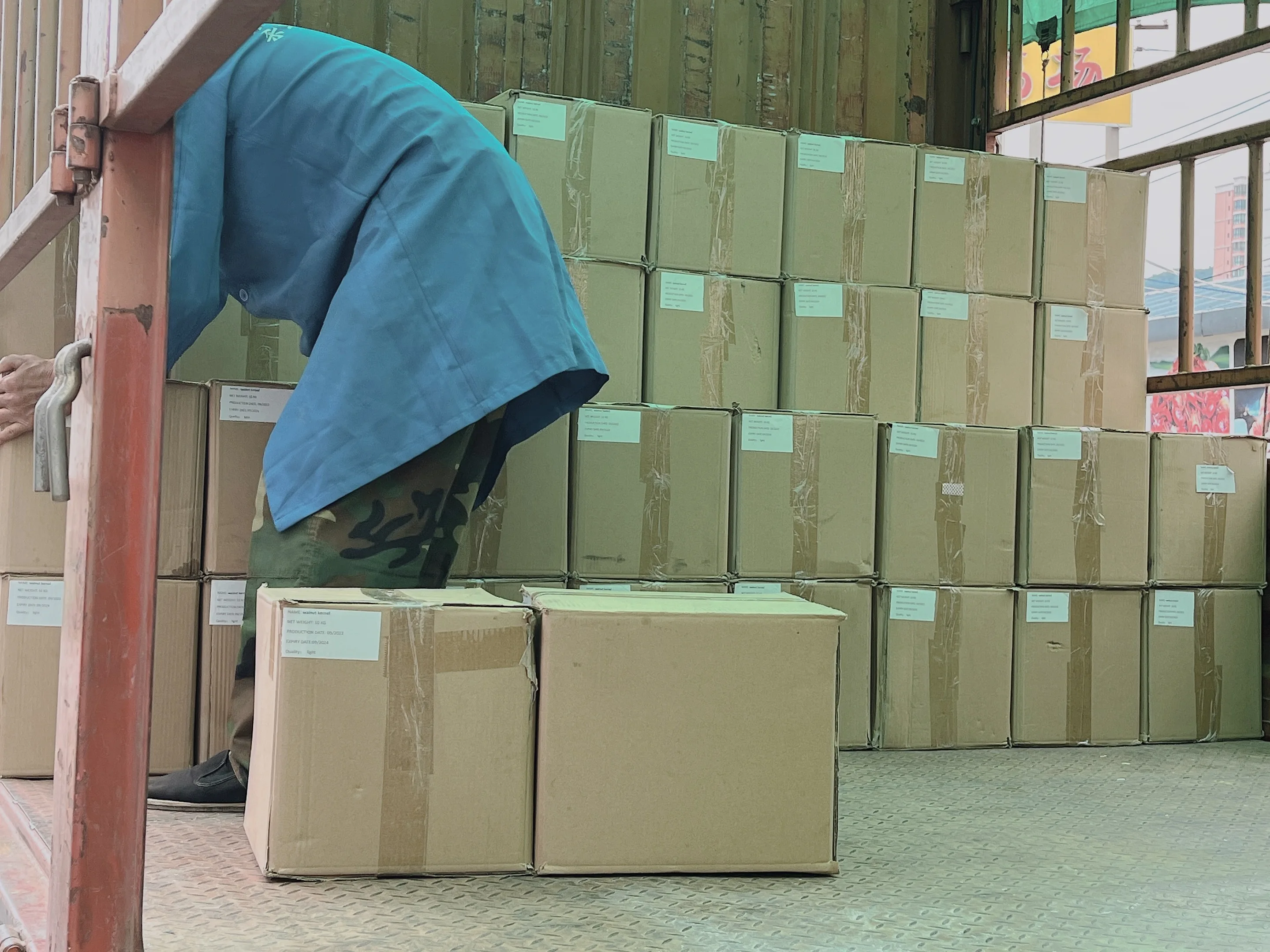 Thin Shell Fresh Delicious Nutrition Chinese Walnut Kernel