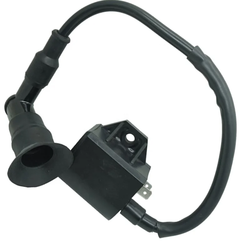 Ad 50 Ignition Coil Ad50 Ignition Coil For Suzuki Neu With Spark Plug Cap