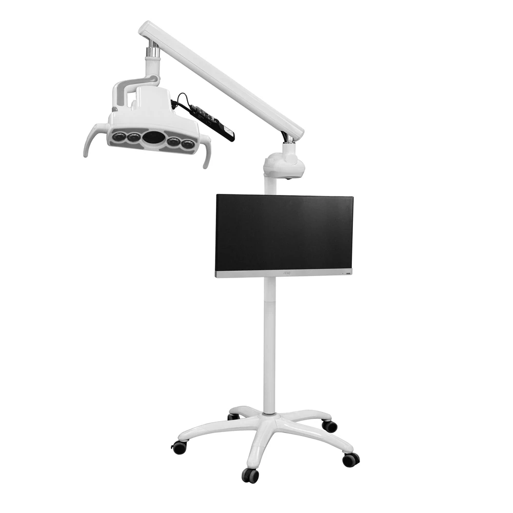 Standing type Dental HD camera  Dental Camera HD Intraoral Endoscope with LED Light with TV monitor