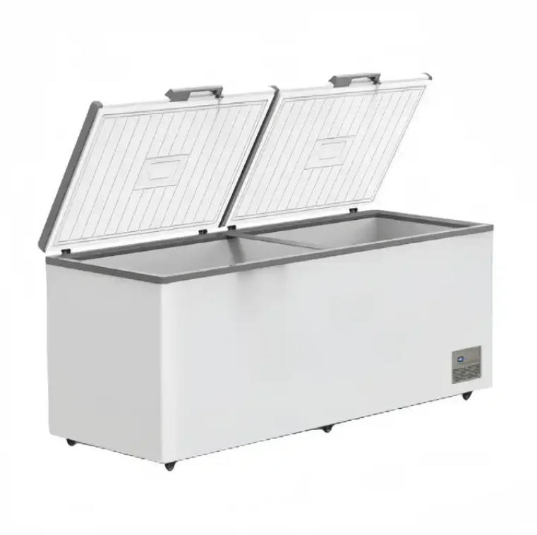 600L Large-capacity Freezer Adapter Horizontal Save Energy Commercial Frozen Bluefin Tuna Double Door Deep Chest Freezers