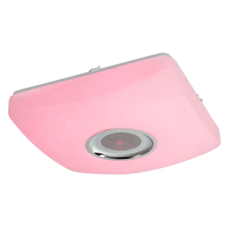 
Vintage Square Smart Square 2019 2.4G LED Plastic Ceiling Lamp 