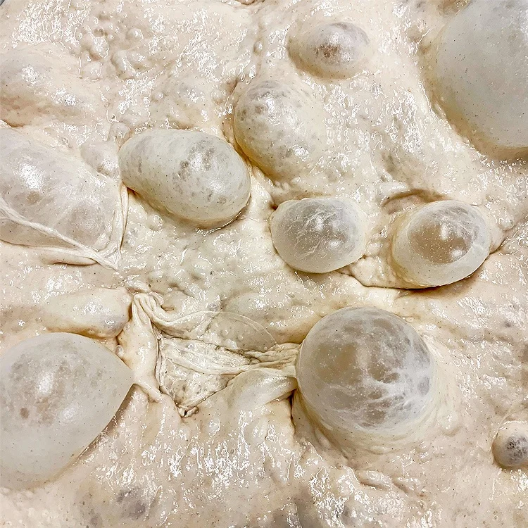 Revolutionize Your Baking of Yeast Fusion, For Healthier and Tastier Treats with 500g Our Organic Yeast, dry yeast,instant yeast