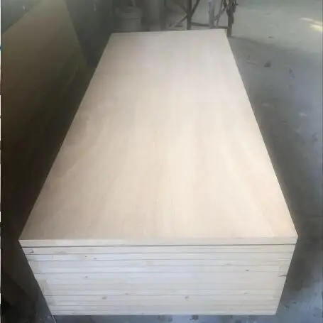 
logan interior white primer molded door 