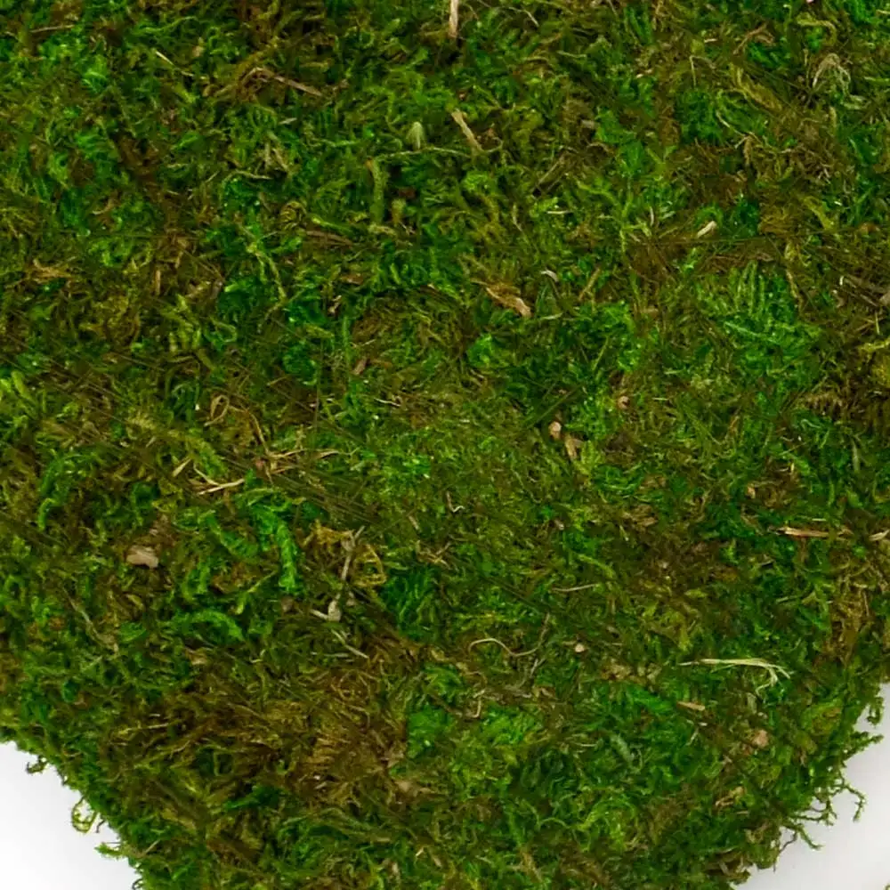 
heart-shaped Three-dimensional hanging pieces loving heart moss garden decoration hanging 