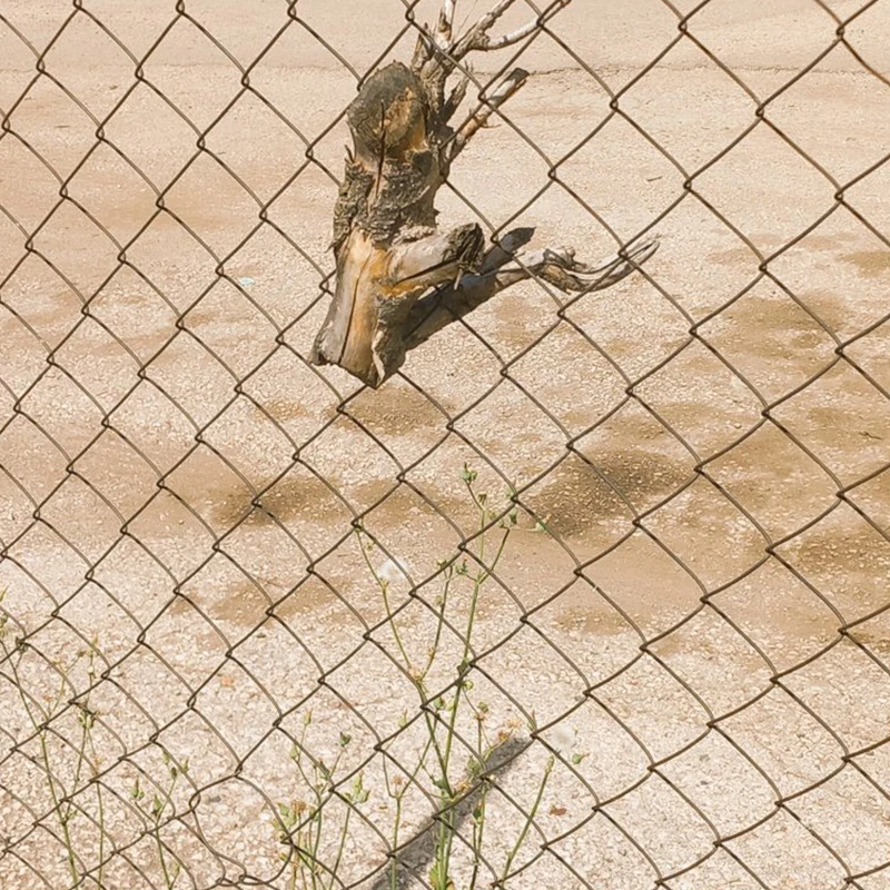 Pvc black vinyl coated chainlink chainlink wire mesh 50x50mm small hole chain link fencing 6ft tall