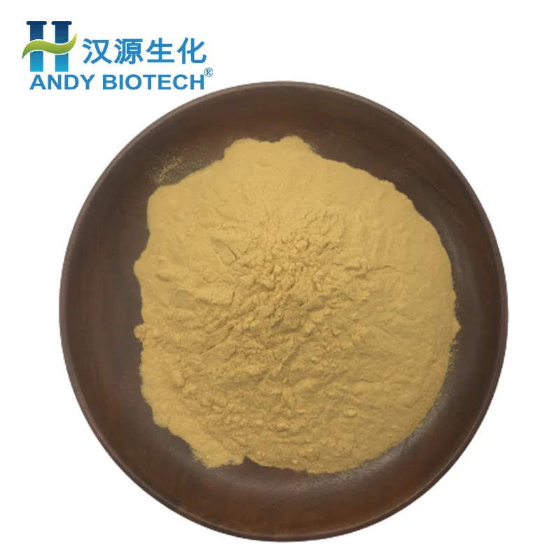 Top Quality Radix Aucklandiae Extract Costus Root Extract Powder