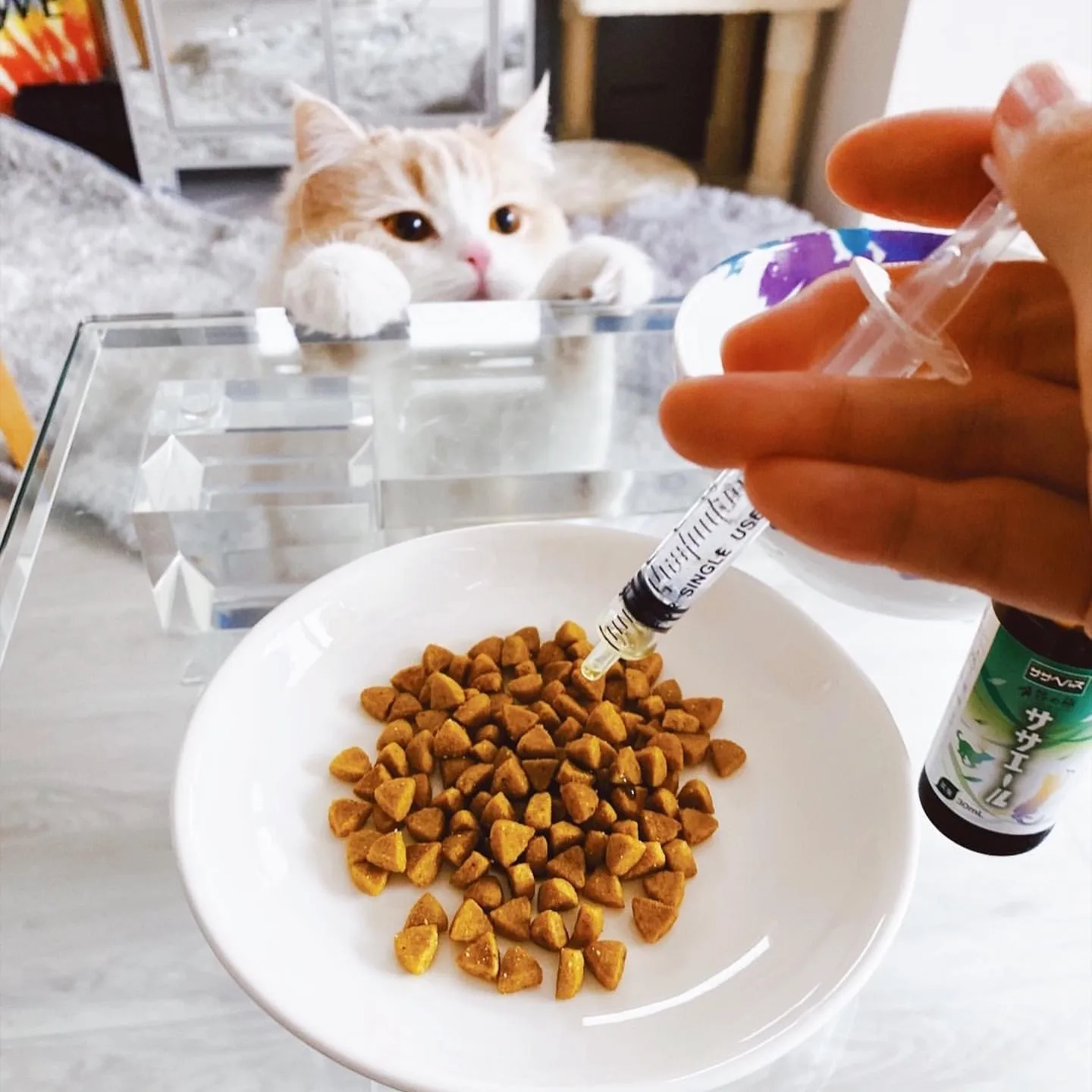 Improve intestinal environment supplies best selling pet food hair care