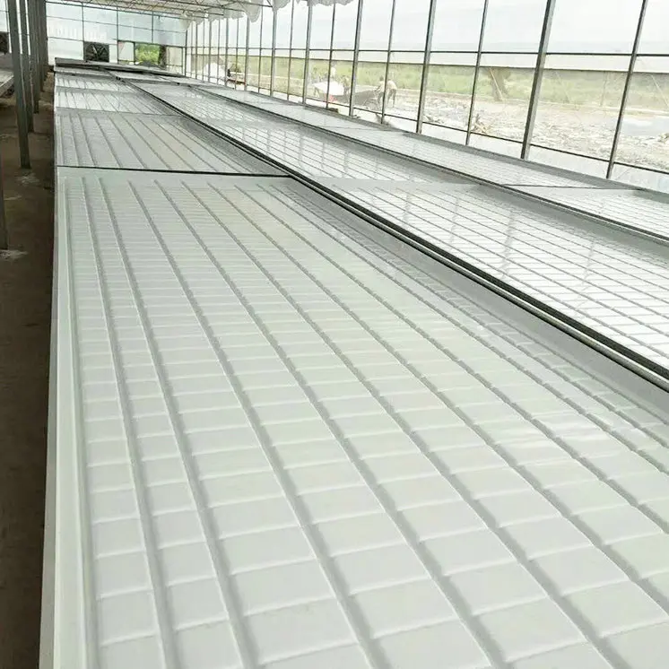 Seedbed rolling benches tables for greenhouse