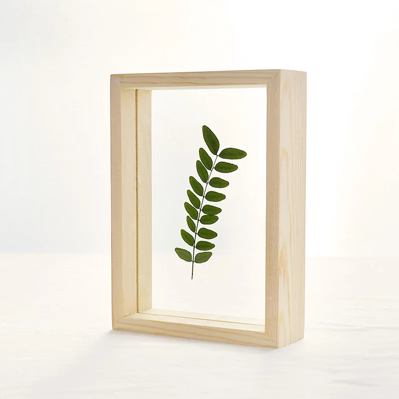 Wholesale Eco-friendly Plant Specimen Double Glass Picture Frame Wood Shadow Box Photo Frame
