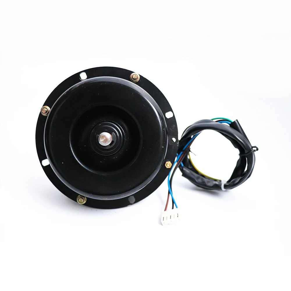 DC Motor Electric outdoor fan motor for Exhaust fan Air Curtain AC Air Conditioner