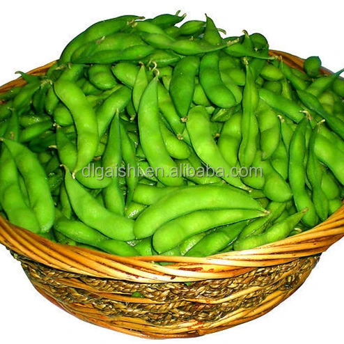 Organic Fresh Frozen Soybean Green Soy Bean Edamame