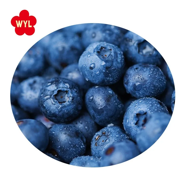 Frozen blueberry for wholes