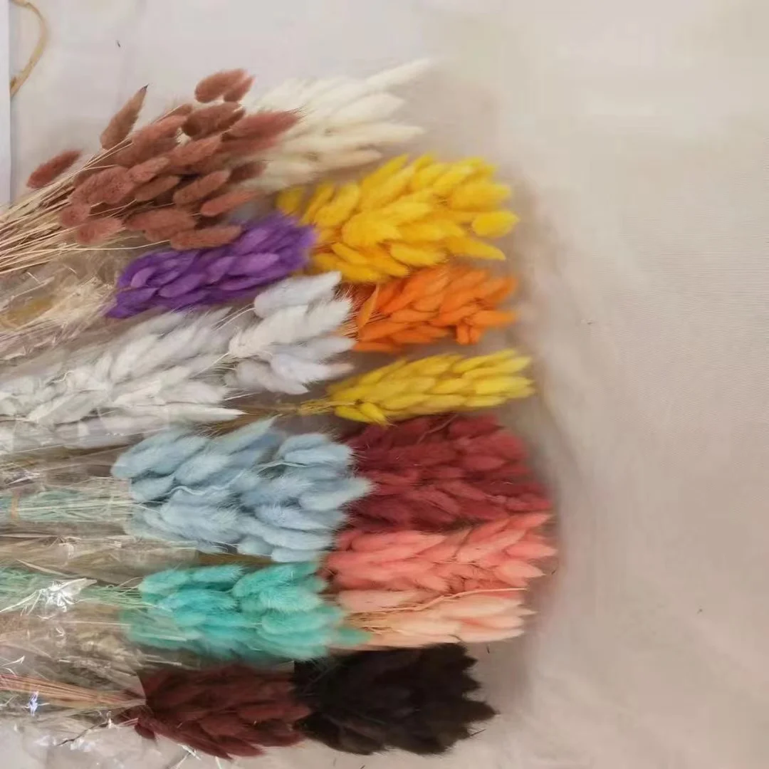 Hot selling Dried pampas Rabbit Tail Dried Flowers Pampas Wedding Boho Flower Home Decor