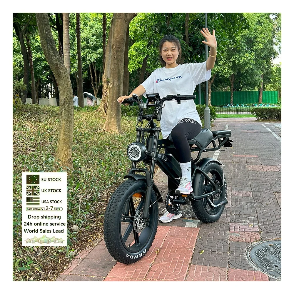 NL склад V20 для взрослых fatbike ebike полная подвеска 20-дюймовый Ретро Горный велосипед дешевый внедорожник