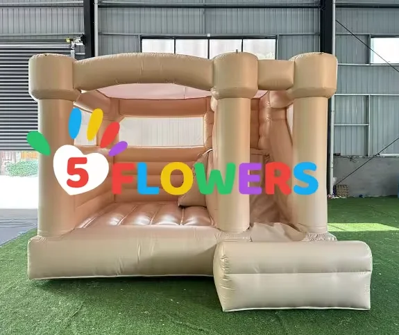 paste-pic-dp_uuid_ltd7d