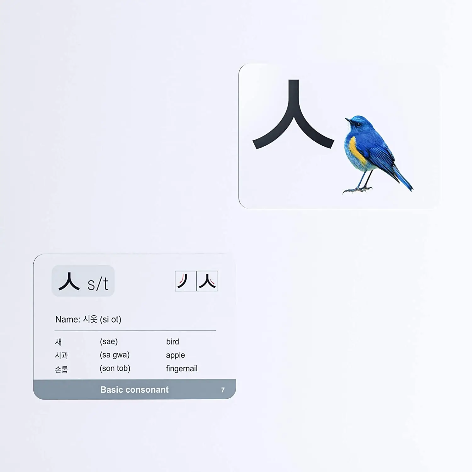 China Factory OEM Custom Korean Card Printed Anime Game Cards Animals Flash Card Alphabet Flashcards