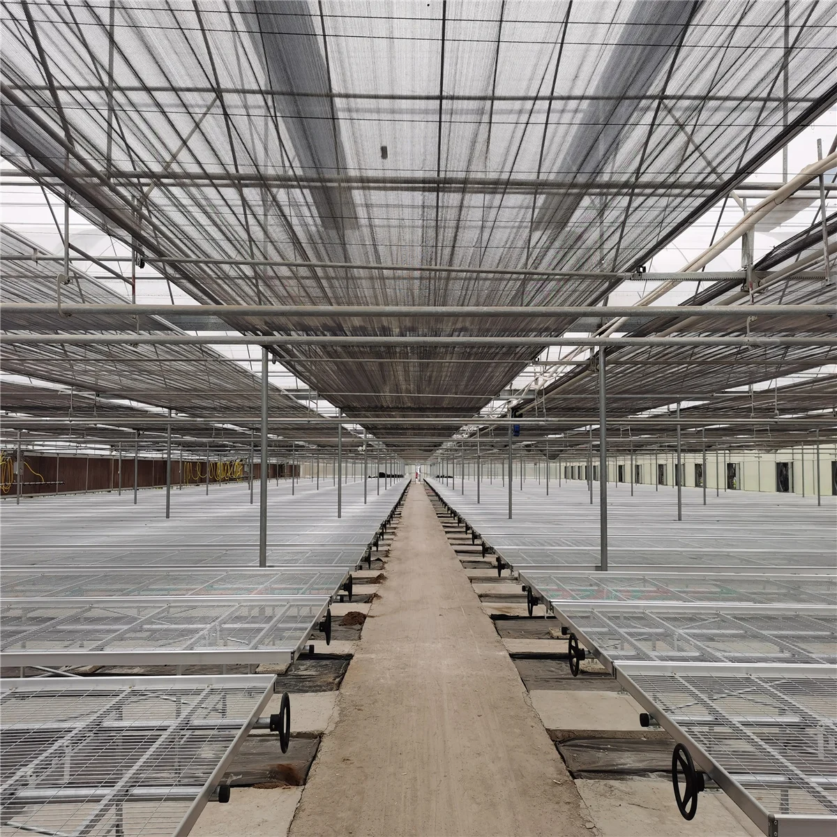 Metal structural frame hemp grow Greenhouse with hydroponics rolling bench table greenhouse mesh rolling bench