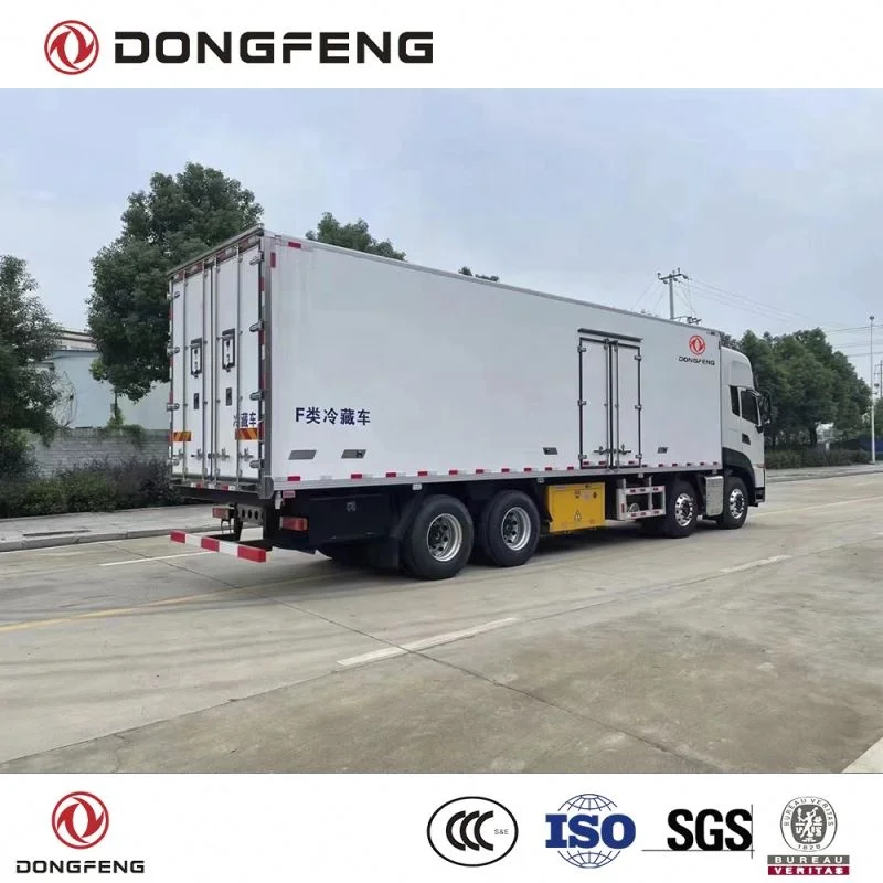 Dongfeng LHD and RHD delivery van prices frozen refrigerated truck body