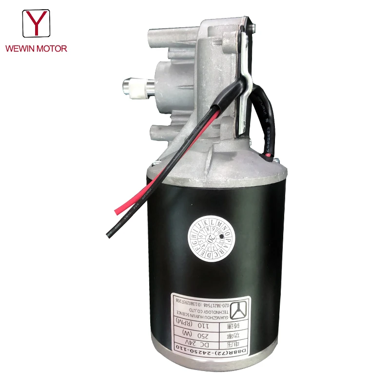 Wholesale High Torque 80Kg 100Kg 140Kg Load Electric Motors 12V 24V 250 Watt Dc Motor