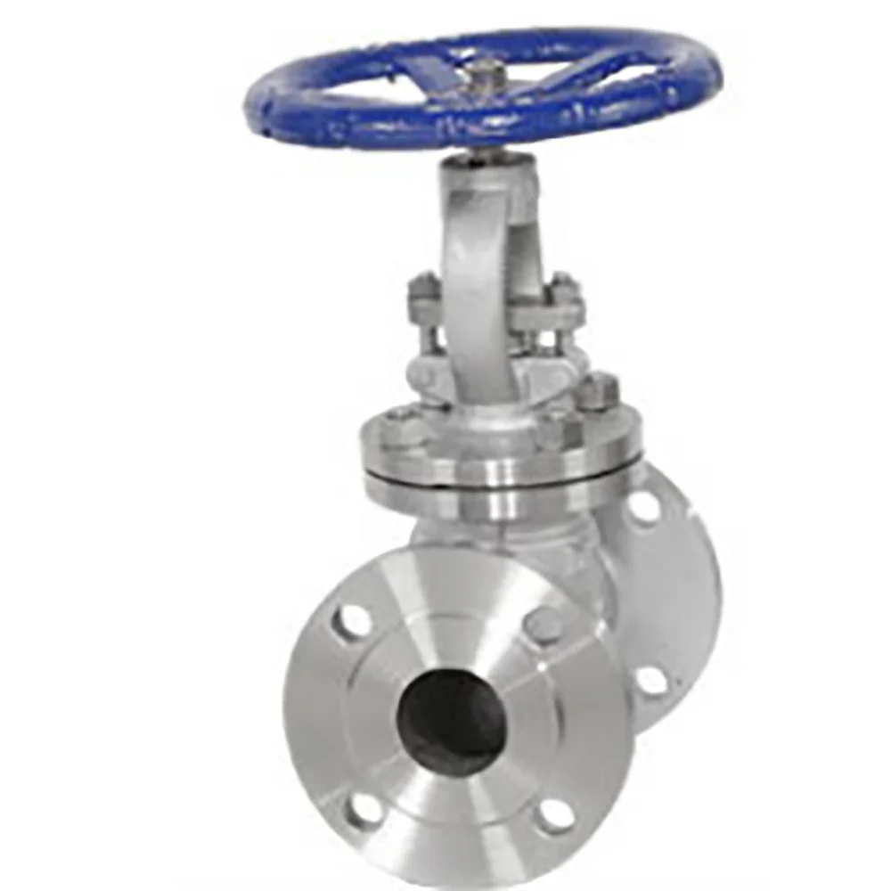 2021 Custom Flange Type Stainless Steel Bellows Seal Cast Carbon Steel Globe Valve