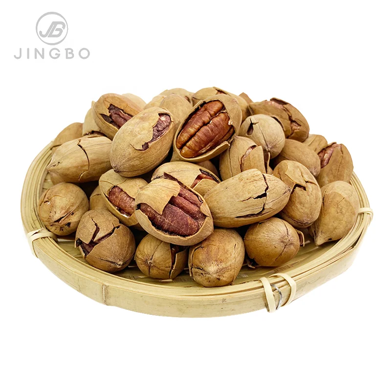 Wholesale Price Factory Direct Hot Sale Medium Dried Pecan nuts  Freshly Picked Bulk Pecan nuts for Snack Food.