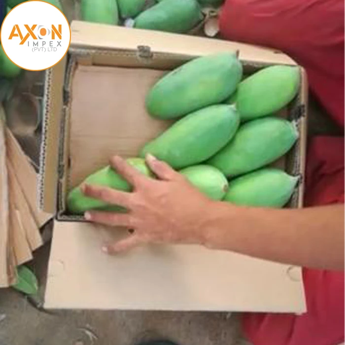 
pakistani mango/ Fresh Mango Exporter from Pakistan 